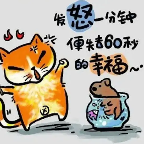 保险推广网站